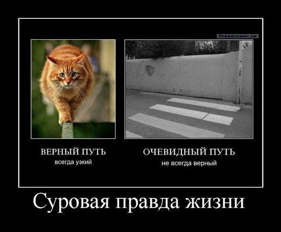 http://cs4576.vkontakte.ru/u5607310/98438367/x_6d571b17.jpg