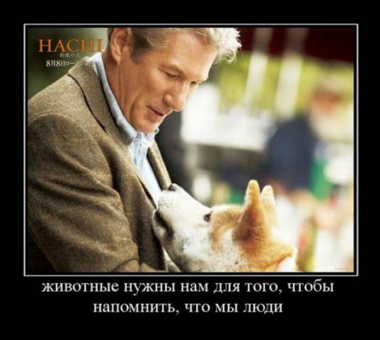 http://cs4576.vkontakte.ru/u5607310/98438367/x_ccc61ede.jpg